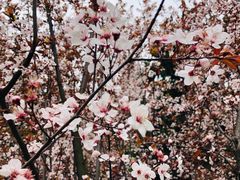 -上海市龙华烈士陵园