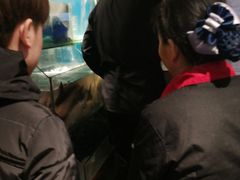 -花千代秘制烤鱼(曼哈顿店)
