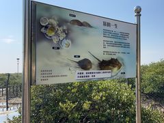 -北海金海湾红树林生态旅游区