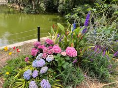 -人民公园(罗湖区)