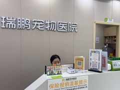 -瑞鹏宠物医院·骨外科·心肾科·肿瘤科(九亭店)