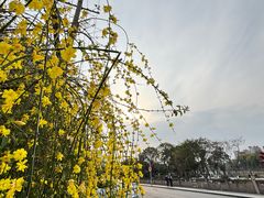 -望江楼公园