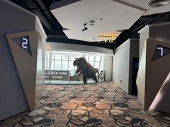 -星河寰宇IMAX影城(星河WORLD·COCO Park店)