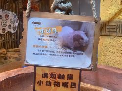 点击看大图 -奇幻萌宠部落(映月湖环宇城店)