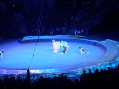 -珠海横琴长隆《卡卡虎奇遇记》