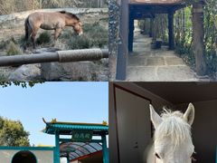 -宁波野生动物园