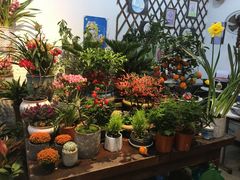 -双季花艺园艺市场(浦东店)