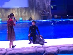 -华夏文旅海洋公园