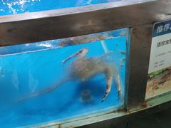 -盒马鲜生(悦峰店)