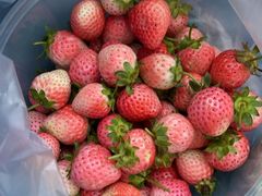 -五里多农博广场