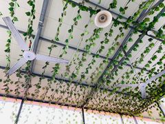 -金台阶鱼馆(于桥水库店)