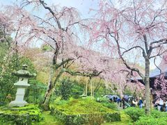 -天龙寺