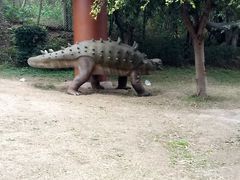 -自贡恐龙博物馆