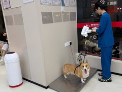 -御宝贝24h宠物医院·转诊中心·CT核磁血透中心(厦门总院)