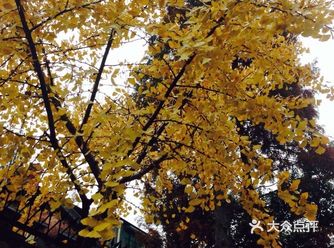 沿着民乐路往下走，发现有家琴馆安安静静的在老巷子里