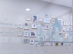 -瑞派名望24h动物医院异宠专科·猫专科·骨科·重症监护分院