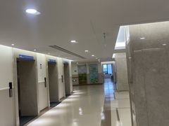 -上海市东方医院(总院)