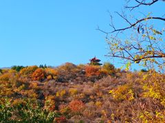 -白水寺森林公园