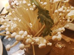 -蜀大侠火锅(四川北路店)