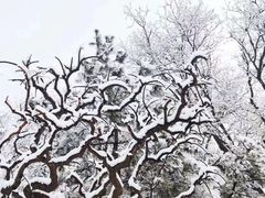 -宝岛眼镜公司(普育东路店)