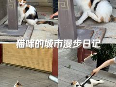 -西安大兴善寺