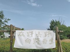 -安仁古镇
