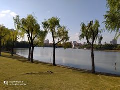 -黄兴公园