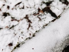 -龙苍沟森林公园
