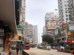 -澳洲牛奶公司(佐敦店)