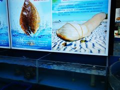 -潮福城大酒楼(二环东路店)