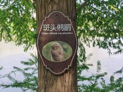 -青山湖景区
