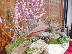 -苏州上方山国家森林公园