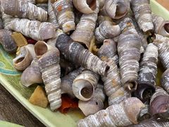 -贞姨美食·老字号海鲜大排档