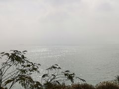 -上海市保健医疗中心