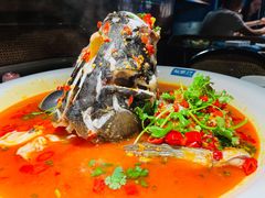 -坛宗剁椒鱼头(河西王府井店)