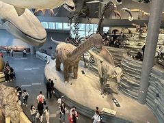 -国家自然博物馆