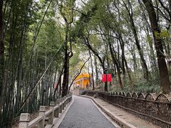 -灵岩山风景区