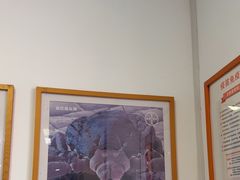 -瑞派福兴宠物医院犬猫全科·骨科·中西医结合(河东店)