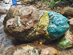 -南海湾森林生态园