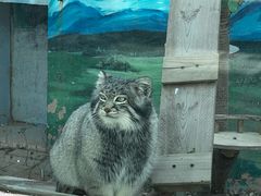 -青藏高原野生动物园