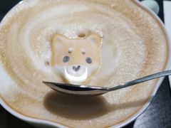-逗柴咖啡屋·狗咖猫咖宠物桌游