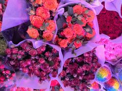 -花鸟鱼虫鲜花绿植市场(玉泉路店)