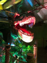 -恐龙探索乐园(磁器口店)