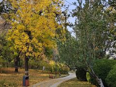 -元大都城垣遗址公园