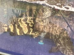 -兴隆槟榔园休闲农庄