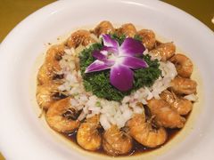 HOHO元宝虾-HOHO餐厅(古子城店)