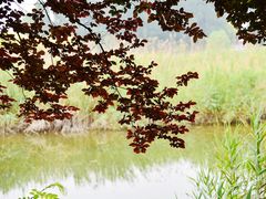 -淇河国家湿地公园