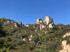 -大岭沟猕猴桃谷风景区