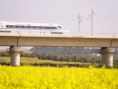 -光明小镇欢乐田园