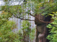 -圣莲山风景区